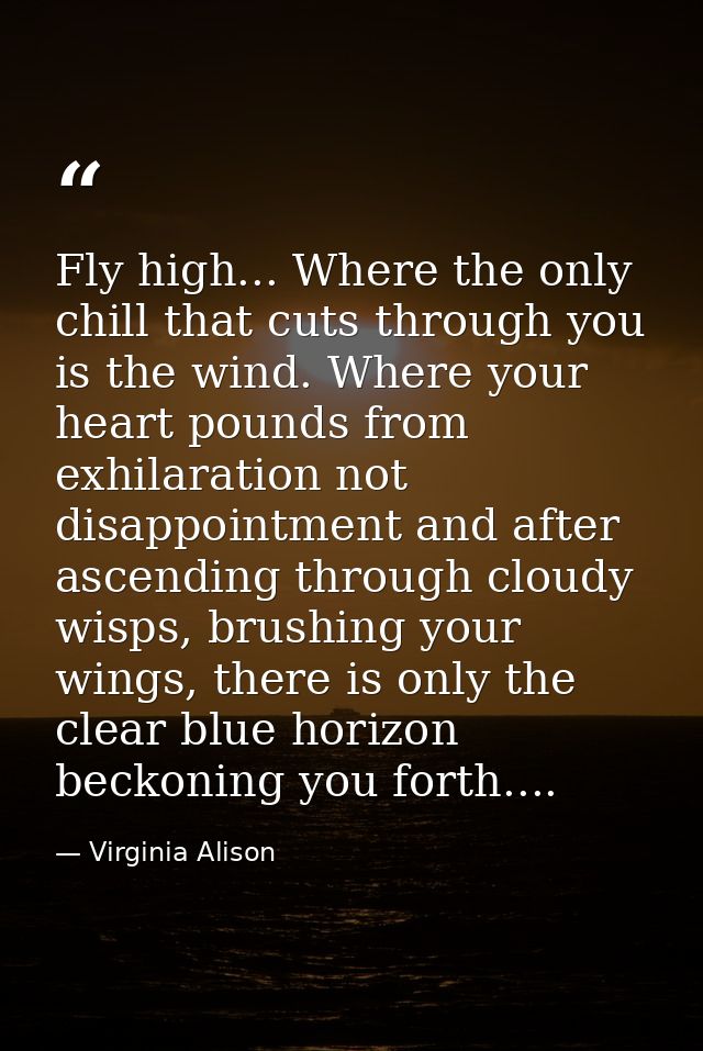 Fly high... Where the only chill that cuts through you is the wind. Where your heart pounds from exhilaration not disapp — Virginia Alison