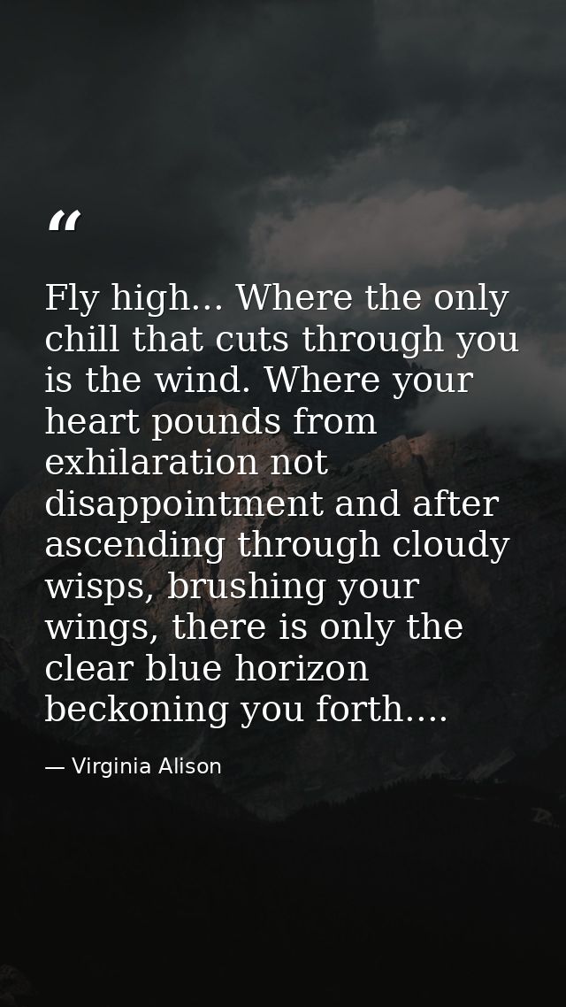 Fly high... Where the only chill that cuts through you is the wind. Where your heart pounds from exhilaration not disapp — Virginia Alison