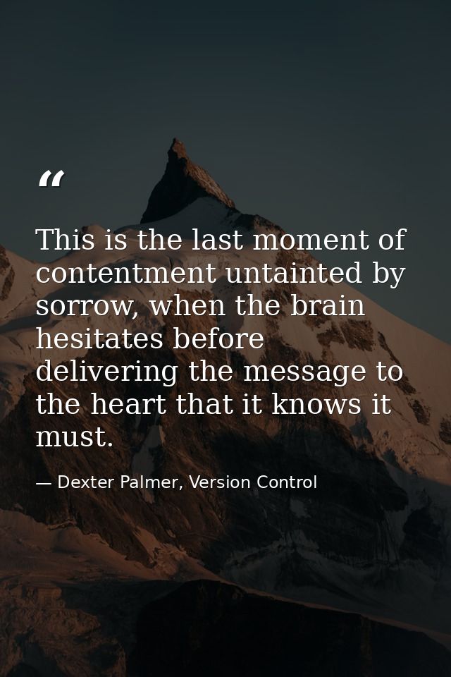 This is the last moment of contentment untainted by sorrow, when the brain hesitates before delivering the message to th — Dexter Palmer, Version Control
