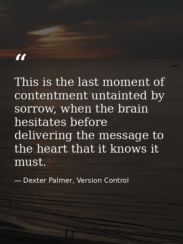 This is the last moment of contentment untainted by sorrow, when the brain hesitates before delivering the message to th — Dexter Palmer, Version Control