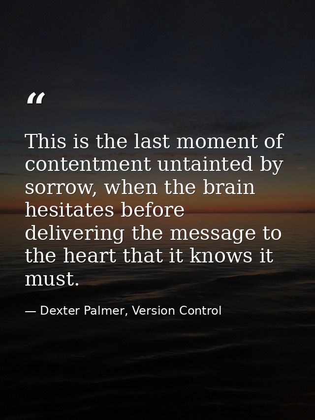This is the last moment of contentment untainted by sorrow, when the brain hesitates before delivering the message to th — Dexter Palmer, Version Control