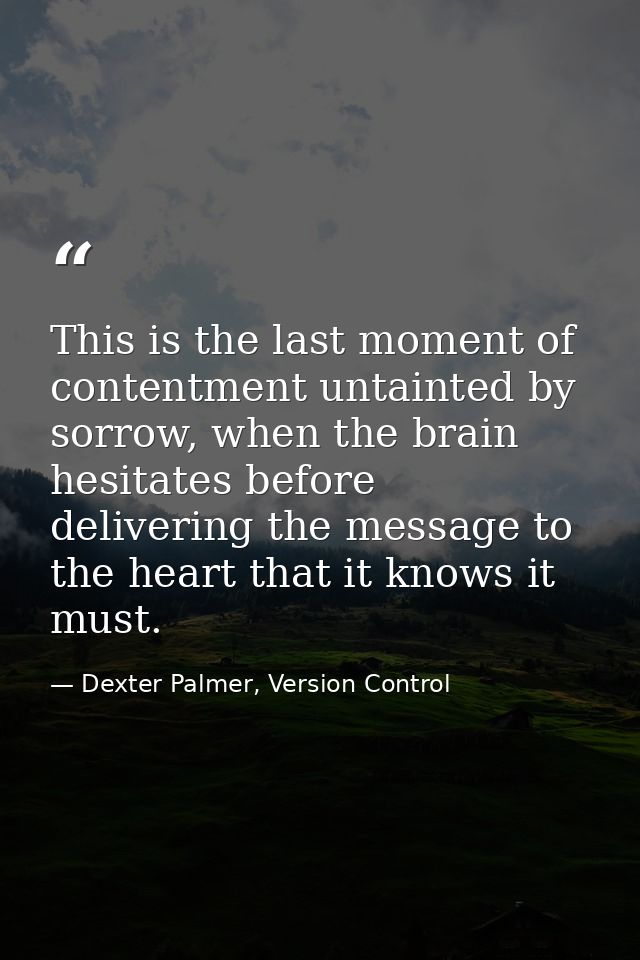 This is the last moment of contentment untainted by sorrow, when the brain hesitates before delivering the message to th — Dexter Palmer, Version Control
