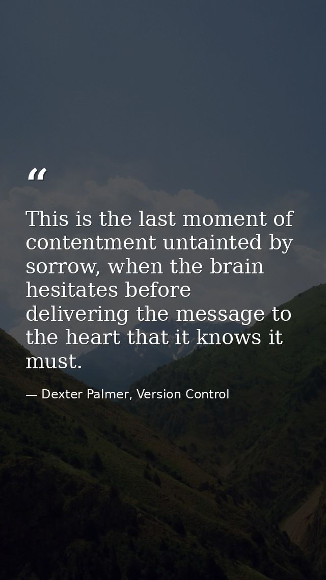 This is the last moment of contentment untainted by sorrow, when the brain hesitates before delivering the message to th — Dexter Palmer, Version Control