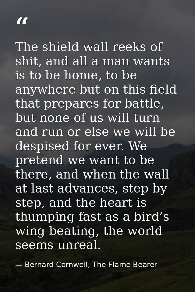 The shield wall reeks of shit, and all a man wants is to be home, to be anywhere but on this field that prepares for bat — Bernard Cornwell, The Flame Bearer