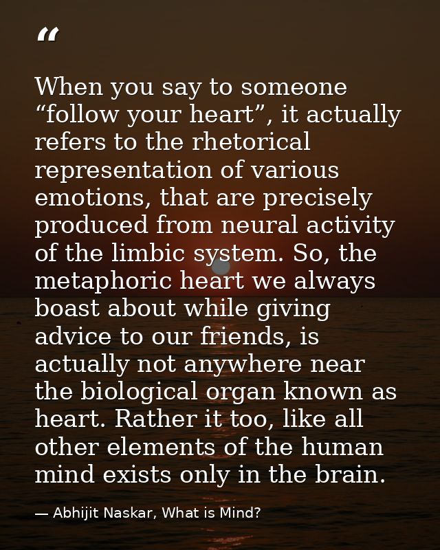 When you say to someone “follow your heart”, it actually refers to the rhetorical representation of various emotions, th — Abhijit Naskar, What is Mind?