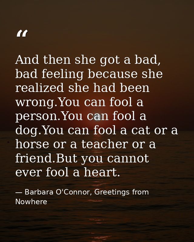 And then she got a bad, bad feeling because she realized she had been wrong.You can fool a person.You can fool a dog.You — Barbara O'Connor, Greetings from Nowhere