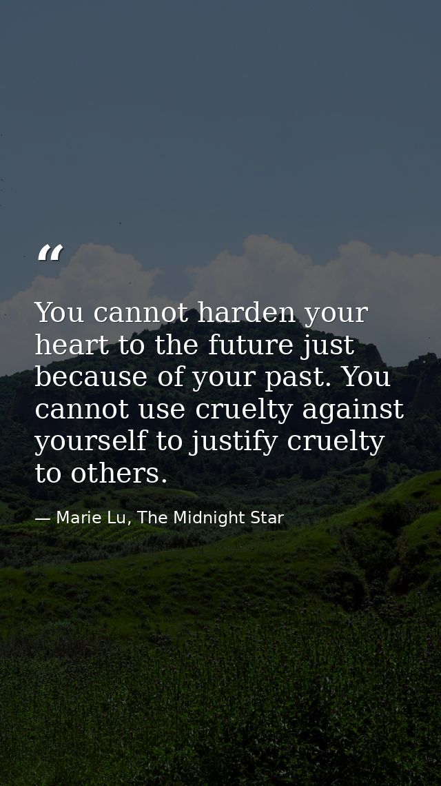 You cannot harden your heart to the future just because of your past. You cannot use cruelty against yourself to justify — Marie Lu, The Midnight Star
