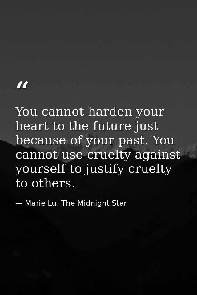 You cannot harden your heart to the future just because of your past. You cannot use cruelty against yourself to justify — Marie Lu, The Midnight Star