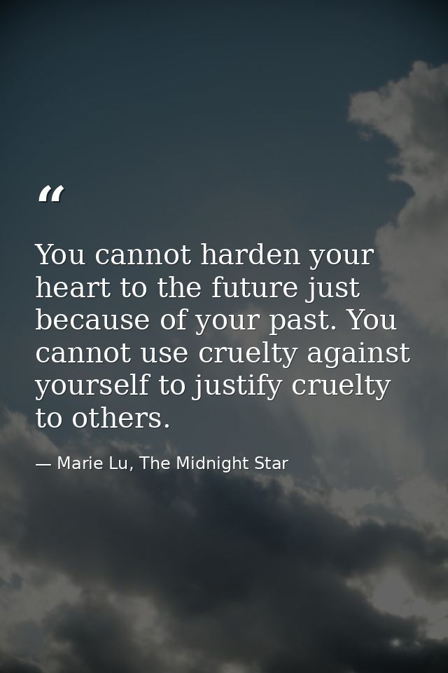 You cannot harden your heart to the future just because of your past. You cannot use cruelty against yourself to justify — Marie Lu, The Midnight Star