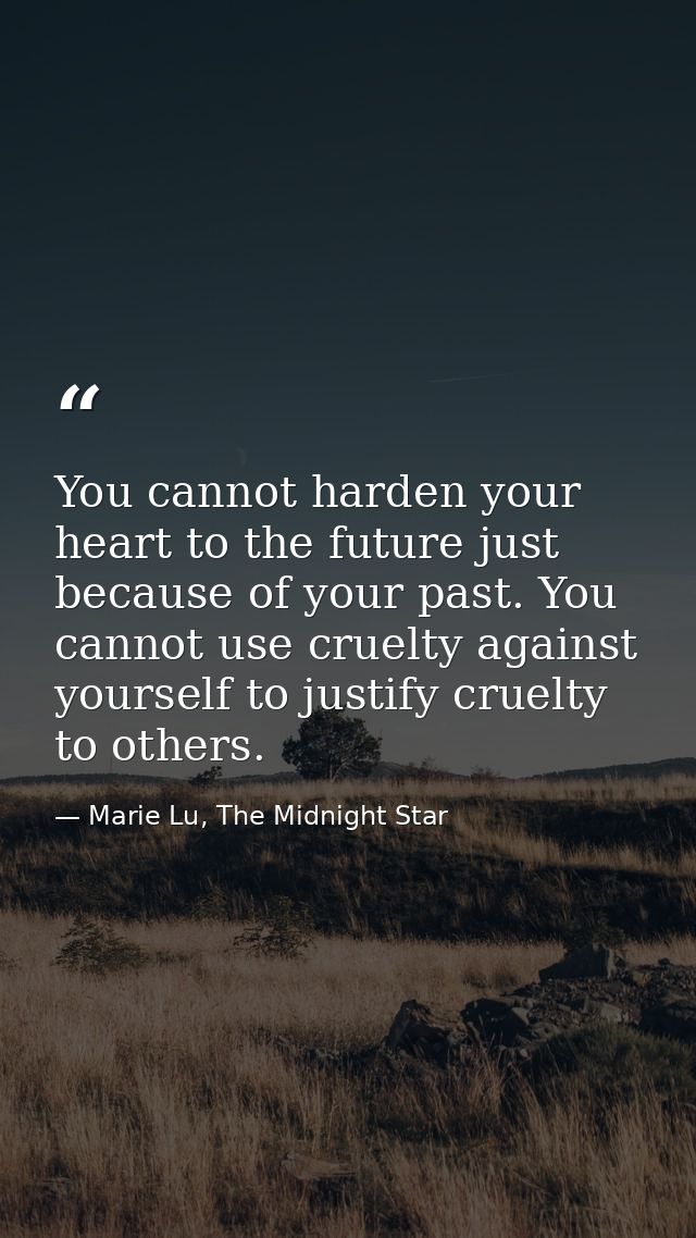 You cannot harden your heart to the future just because of your past. You cannot use cruelty against yourself to justify — Marie Lu, The Midnight Star