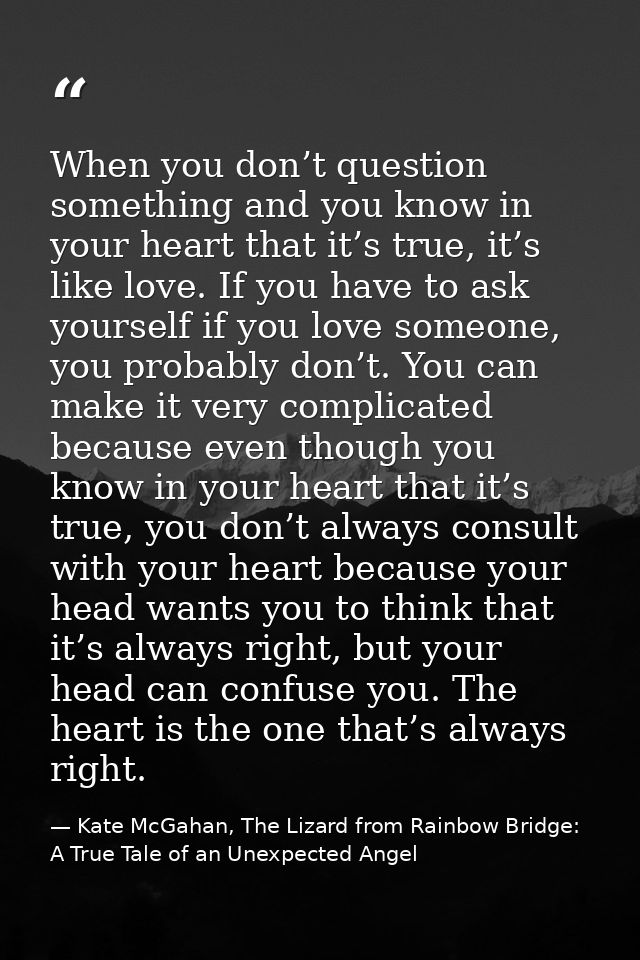 When you don’t question something and you know in your heart that it’s true, it’s like love. If you have to ask yourself — Kate McGahan, The Lizard from Rainbow Bridge: A True Tale of an Unexpected Angel