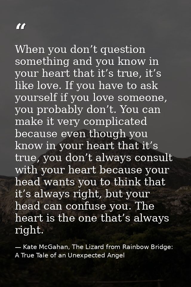 When you don’t question something and you know in your heart that it’s true, it’s like love. If you have to ask yourself — Kate McGahan, The Lizard from Rainbow Bridge: A True Tale of an Unexpected Angel