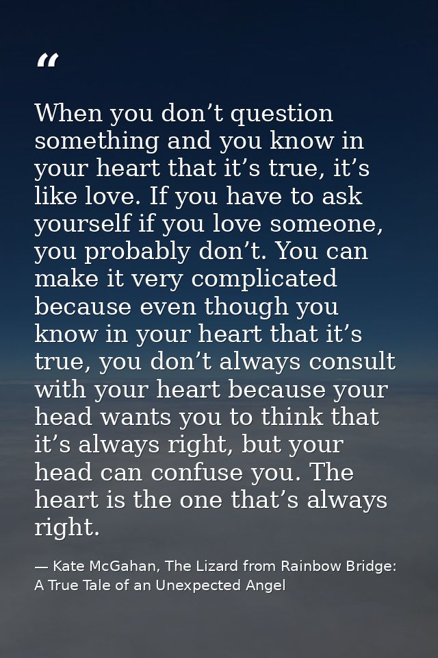 When you don’t question something and you know in your heart that it’s true, it’s like love. If you have to ask yourself — Kate McGahan, The Lizard from Rainbow Bridge: A True Tale of an Unexpected Angel