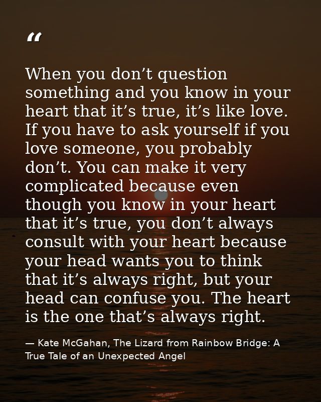 When you don’t question something and you know in your heart that it’s true, it’s like love. If you have to ask yourself — Kate McGahan, The Lizard from Rainbow Bridge: A True Tale of an Unexpected Angel