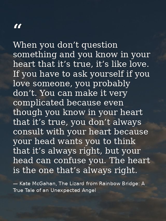 When you don’t question something and you know in your heart that it’s true, it’s like love. If you have to ask yourself — Kate McGahan, The Lizard from Rainbow Bridge: A True Tale of an Unexpected Angel