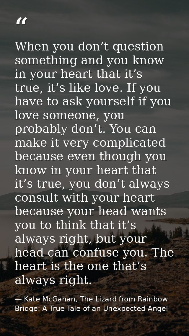 When you don’t question something and you know in your heart that it’s true, it’s like love. If you have to ask yourself — Kate McGahan, The Lizard from Rainbow Bridge: A True Tale of an Unexpected Angel