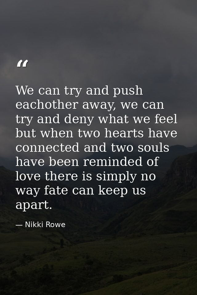 We can try and push eachother away, we can try and deny what we feel but when two hearts have connected and two souls ha — Nikki Rowe