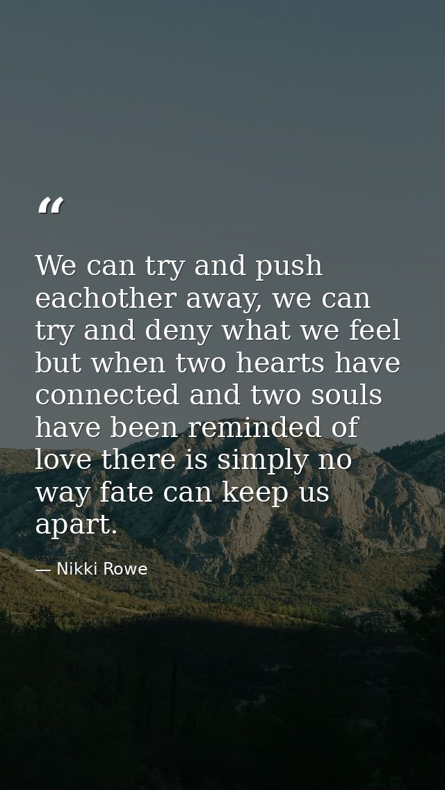 We can try and push eachother away, we can try and deny what we feel but when two hearts have connected and two souls ha — Nikki Rowe