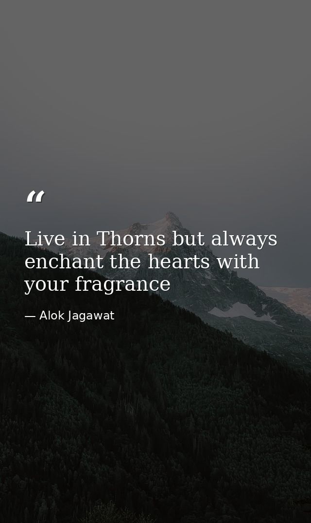 Live in Thorns but always enchant the hearts with your fragrance — Alok Jagawat