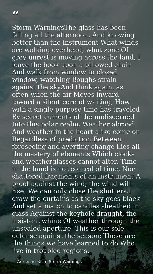 Storm WarningsThe glass has been falling all the afternoon, And knowing better than the instrument What winds are walkin — Adrienne Rich, Storm Warnings