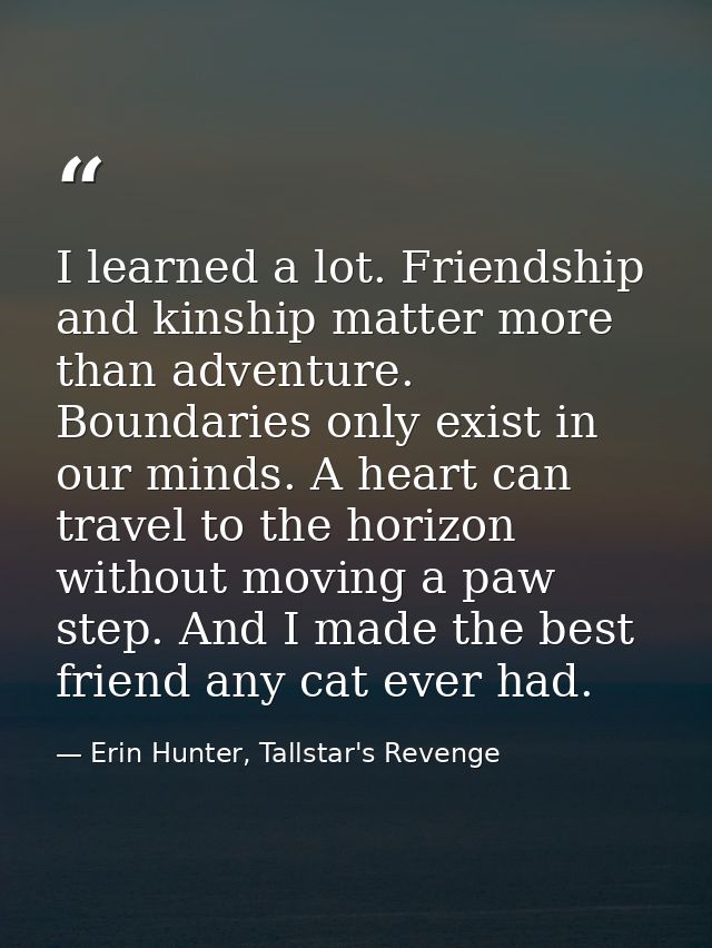I learned a lot. Friendship and kinship matter more than adventure. Boundaries only exist in our minds. A heart can trav — Erin Hunter, Tallstar's Revenge