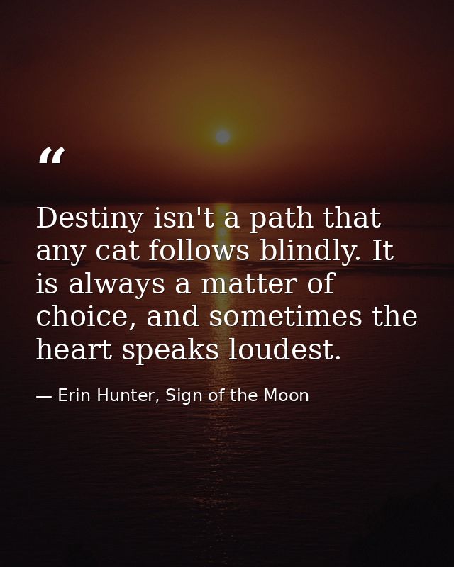 Destiny isn't a path that any cat follows blindly. It is always a matter of choice, and sometimes the heart speaks loude — Erin Hunter, Sign of the Moon