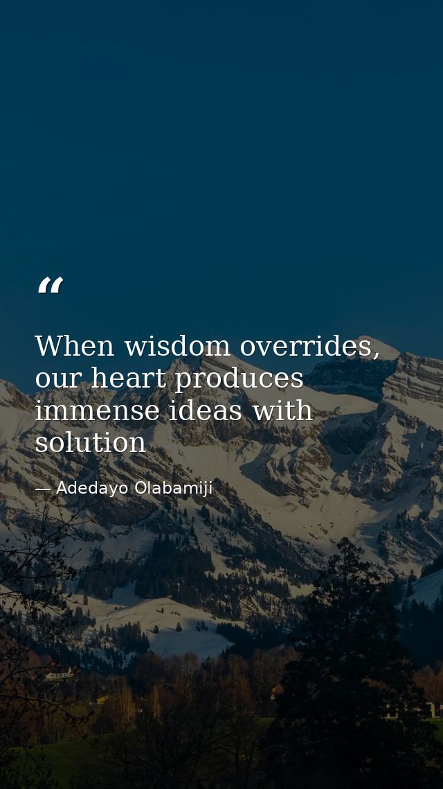 When wisdom overrides, our heart produces immense ideas with solution — Adedayo Olabamiji