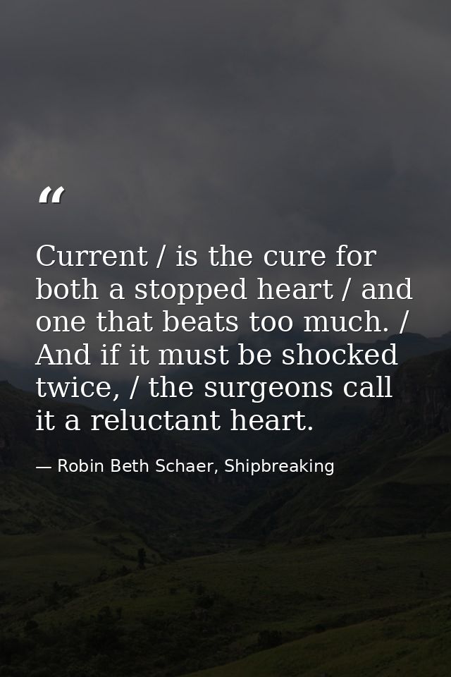 Current / is the cure for both a stopped heart / and one that beats too much. / And if it must be shocked twice, / the s — Robin Beth Schaer, Shipbreaking