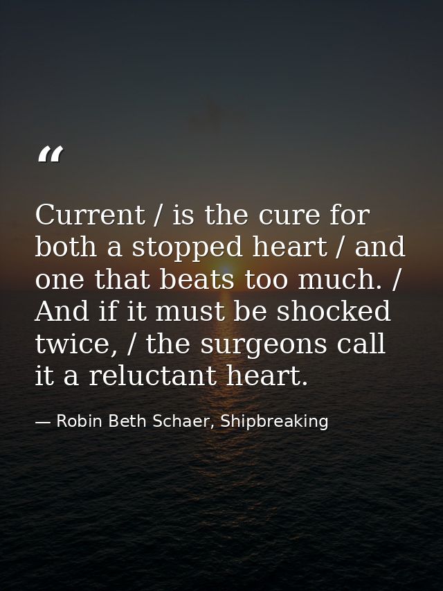 Current / is the cure for both a stopped heart / and one that beats too much. / And if it must be shocked twice, / the s — Robin Beth Schaer, Shipbreaking