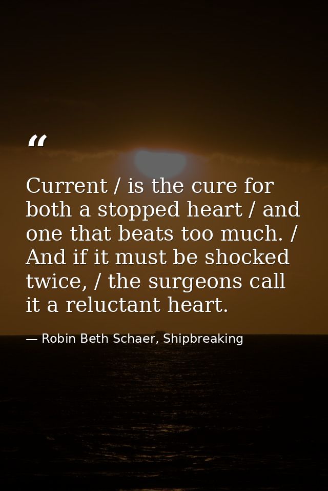 Current / is the cure for both a stopped heart / and one that beats too much. / And if it must be shocked twice, / the s — Robin Beth Schaer, Shipbreaking