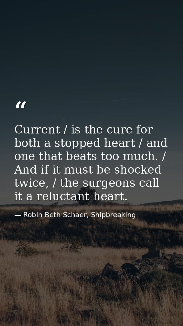 Current / is the cure for both a stopped heart / and one that beats too much. / And if it must be shocked twice, / the s — Robin Beth Schaer, Shipbreaking