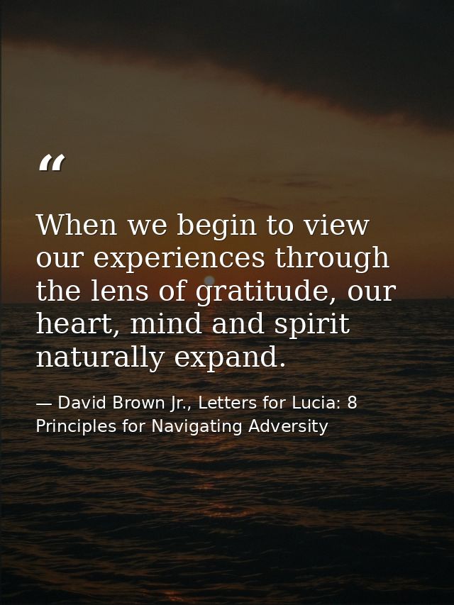 When we begin to view our experiences through the lens of gratitude, our heart, mind and spirit naturally expand. — David Brown Jr., Letters for Lucia: 8 Principles for Navigating Adversity