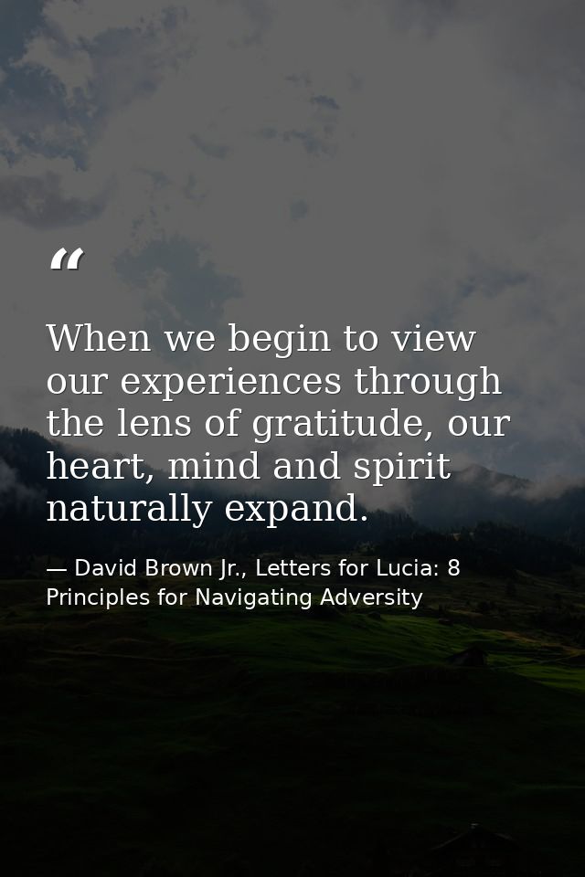 When we begin to view our experiences through the lens of gratitude, our heart, mind and spirit naturally expand. — David Brown Jr., Letters for Lucia: 8 Principles for Navigating Adversity