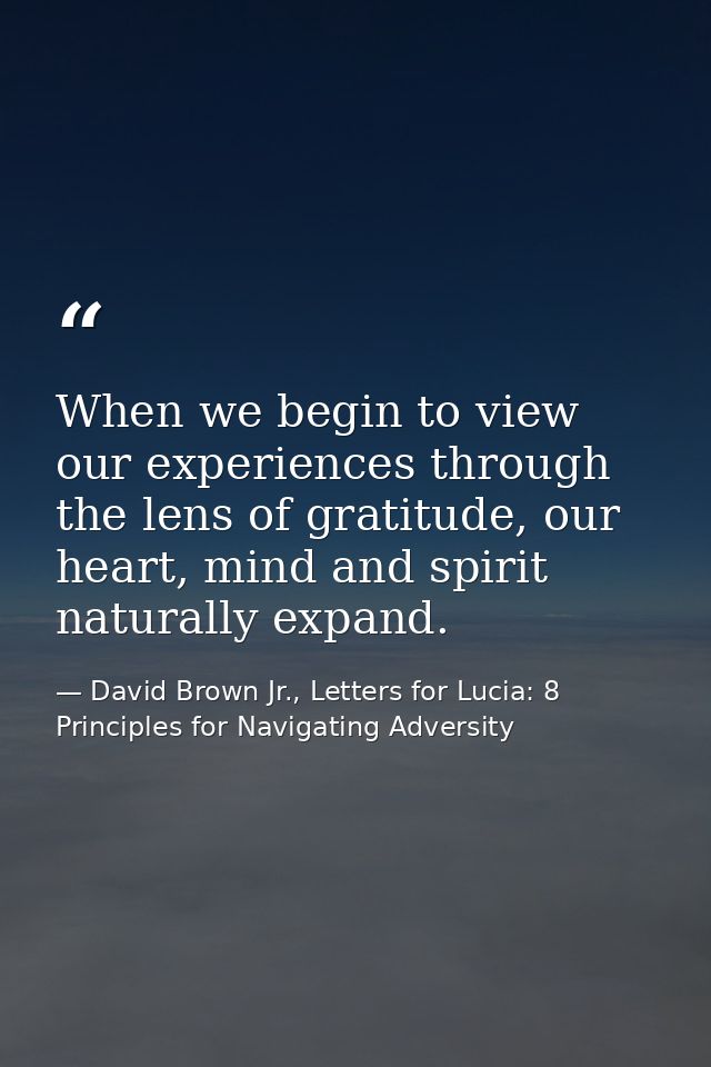 When we begin to view our experiences through the lens of gratitude, our heart, mind and spirit naturally expand. — David Brown Jr., Letters for Lucia: 8 Principles for Navigating Adversity