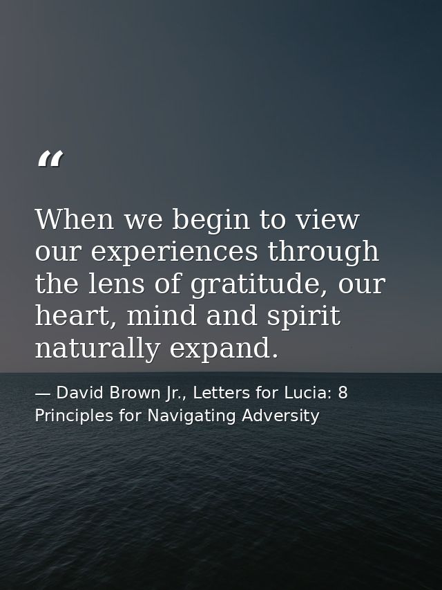 When we begin to view our experiences through the lens of gratitude, our heart, mind and spirit naturally expand. — David Brown Jr., Letters for Lucia: 8 Principles for Navigating Adversity
