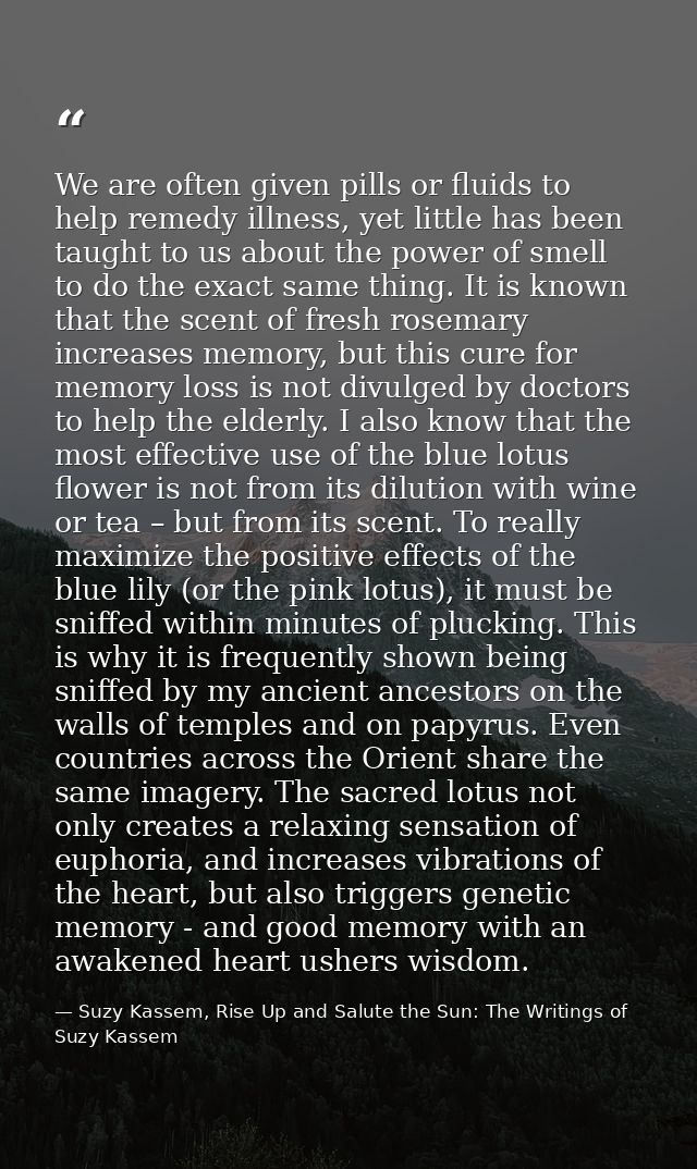 We are often given pills or fluids to help remedy illness, yet little has been taught to us about the power of smell to  — Suzy Kassem, Rise Up and Salute the Sun: The Writings of Suzy Kassem