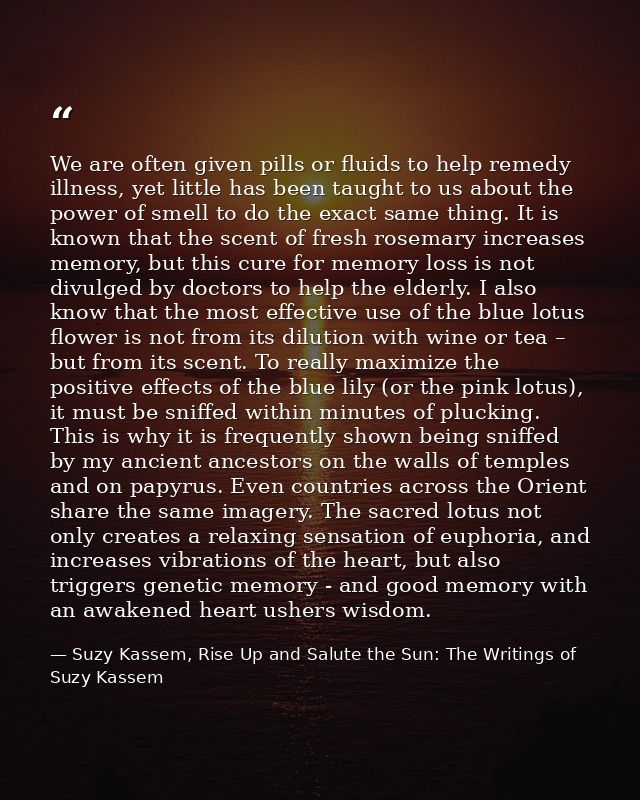 We are often given pills or fluids to help remedy illness, yet little has been taught to us about the power of smell to  — Suzy Kassem, Rise Up and Salute the Sun: The Writings of Suzy Kassem