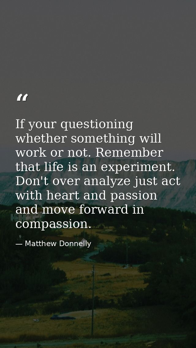 If your questioning whether something will work or not. Remember that life is an experiment. Don't over analyze just act — Matthew Donnelly