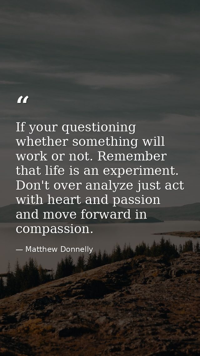 If your questioning whether something will work or not. Remember that life is an experiment. Don't over analyze just act — Matthew Donnelly