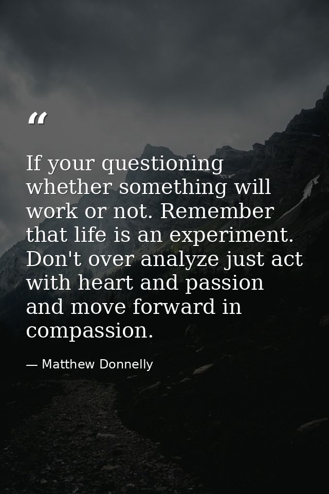 If your questioning whether something will work or not. Remember that life is an experiment. Don't over analyze just act — Matthew Donnelly