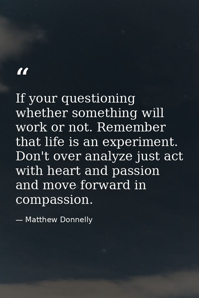 If your questioning whether something will work or not. Remember that life is an experiment. Don't over analyze just act — Matthew Donnelly