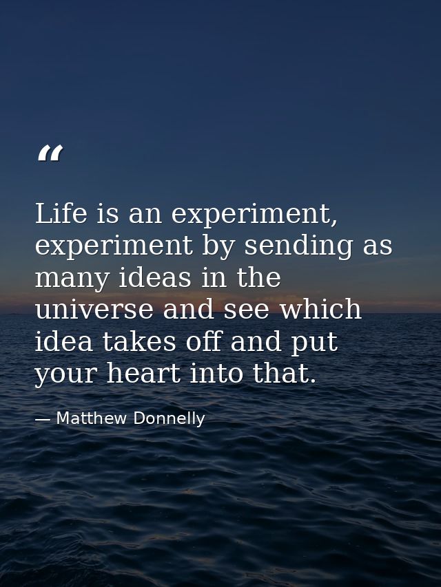 Life is an experiment, experiment by sending as many ideas in the universe and see which idea takes off and put your hea — Matthew Donnelly