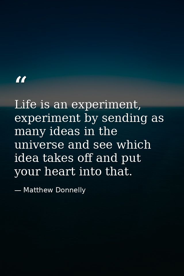Life is an experiment, experiment by sending as many ideas in the universe and see which idea takes off and put your hea — Matthew Donnelly
