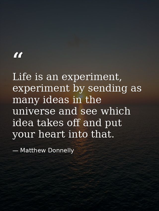 Life is an experiment, experiment by sending as many ideas in the universe and see which idea takes off and put your hea — Matthew Donnelly
