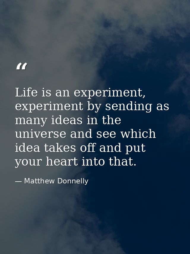 Life is an experiment, experiment by sending as many ideas in the universe and see which idea takes off and put your hea — Matthew Donnelly
