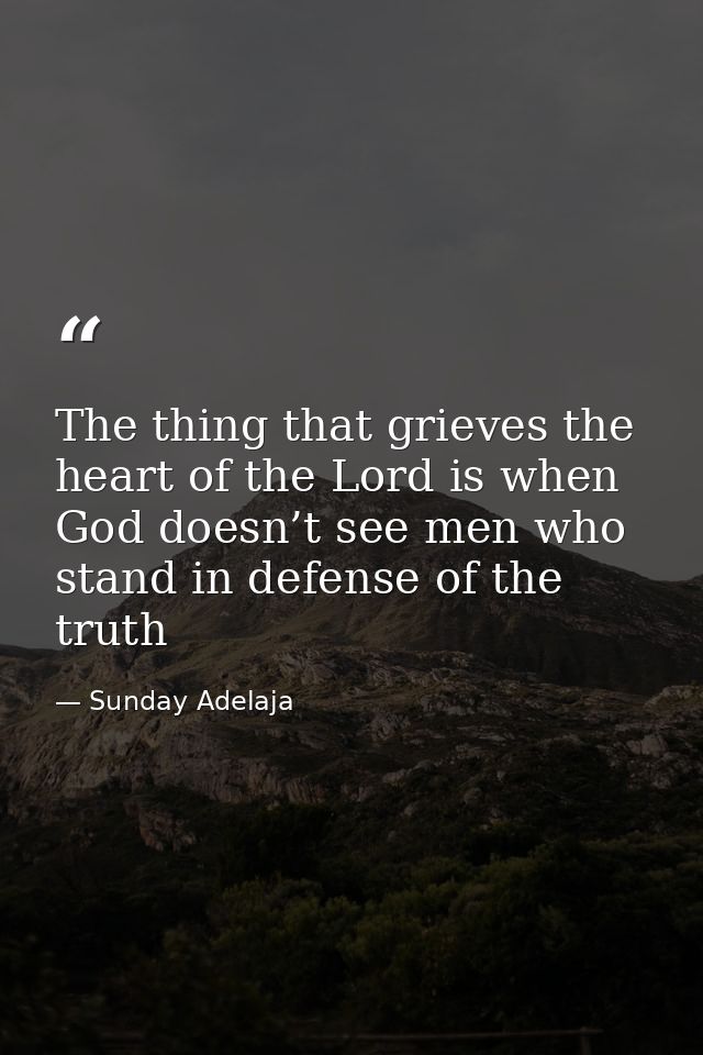The thing that grieves the heart of the Lord is when God doesn’t see men who stand in defense of the truth — Sunday Adelaja