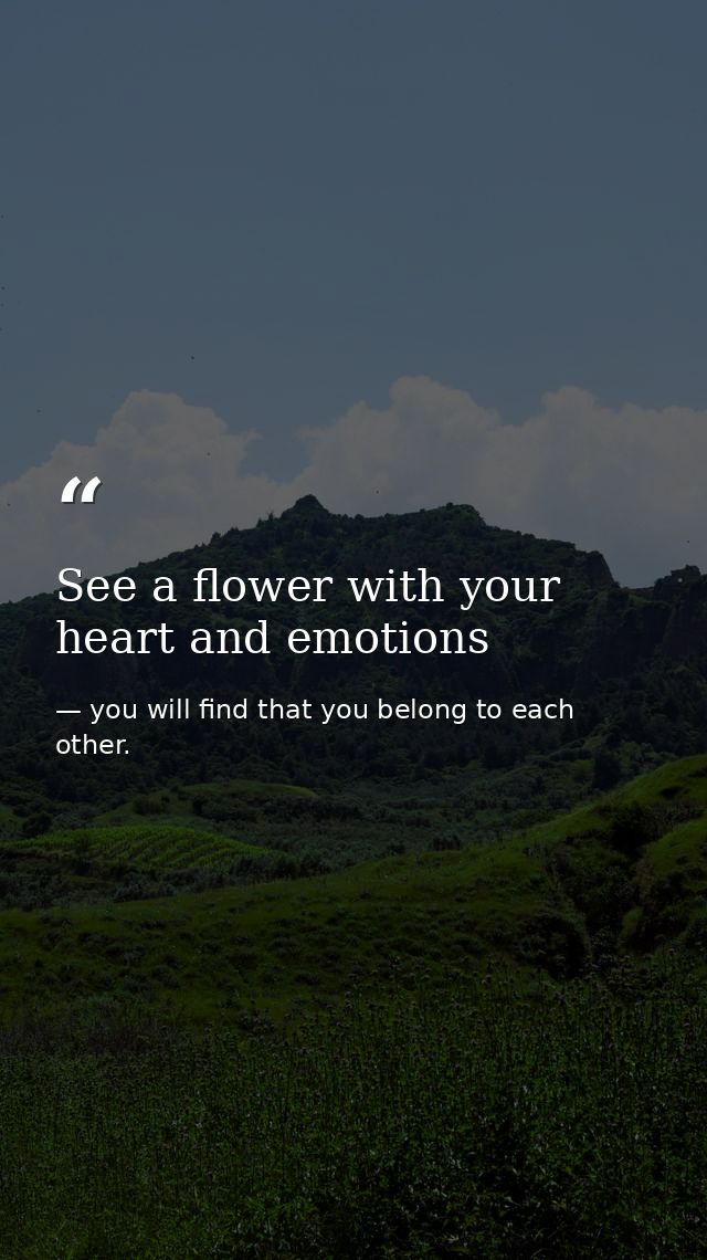 See a flower with your heart and emotions — you will find that you belong to each other.