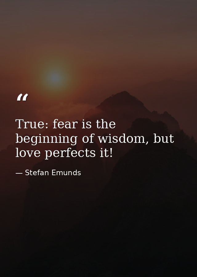 True: fear is the beginning of wisdom, but love perfects it! — Stefan Emunds