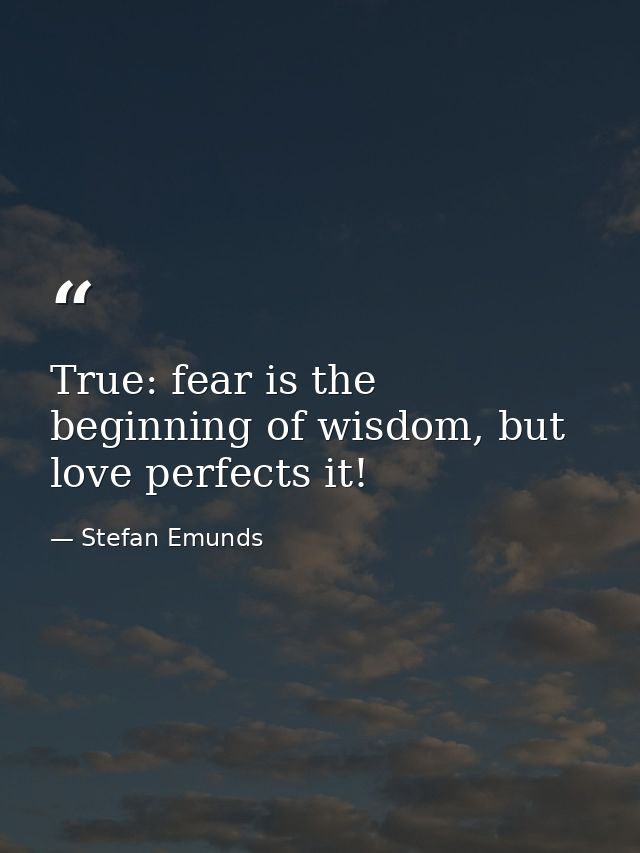 True: fear is the beginning of wisdom, but love perfects it! — Stefan Emunds