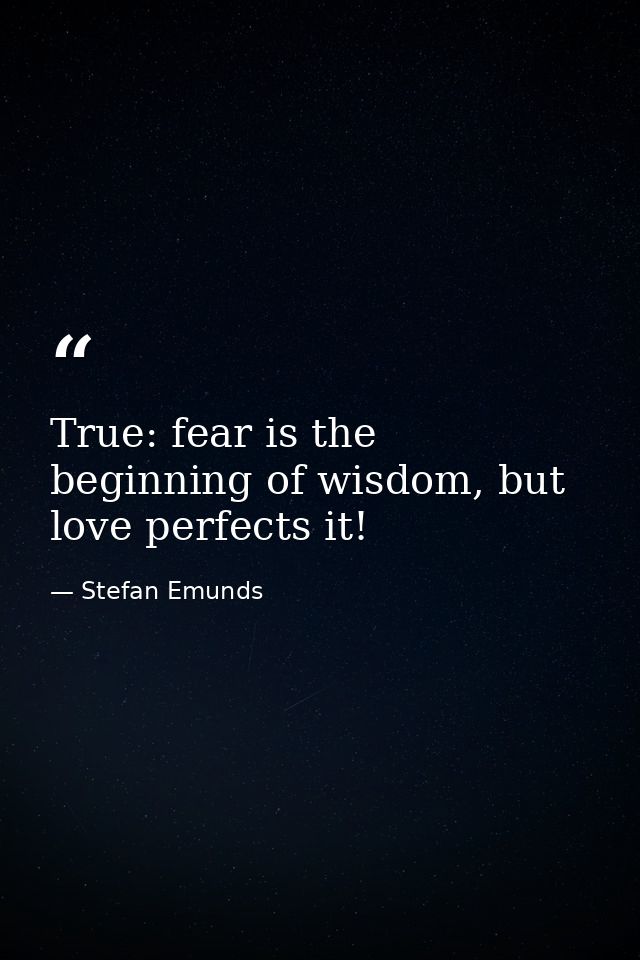 True: fear is the beginning of wisdom, but love perfects it! — Stefan Emunds